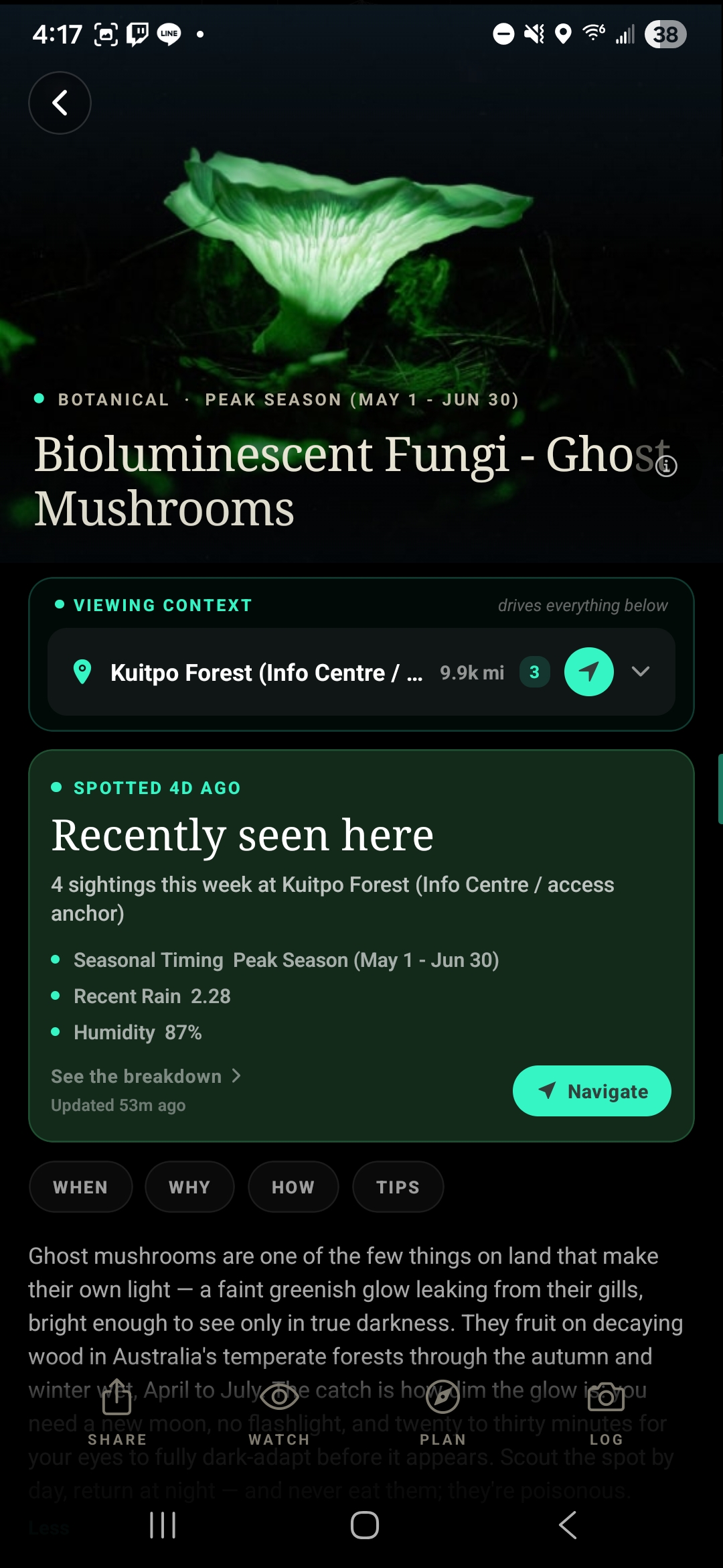 Earth Exhibit app, a phenomenon guide with live conditions