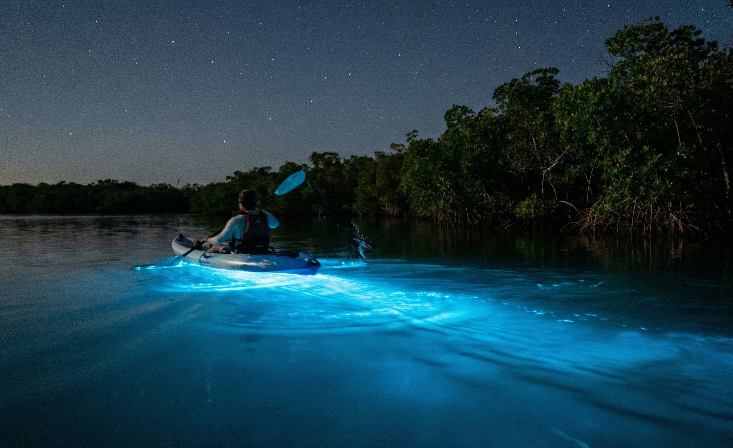 Bioluminescent Bays: Where Every Paddle Stroke Ignites the Ocean