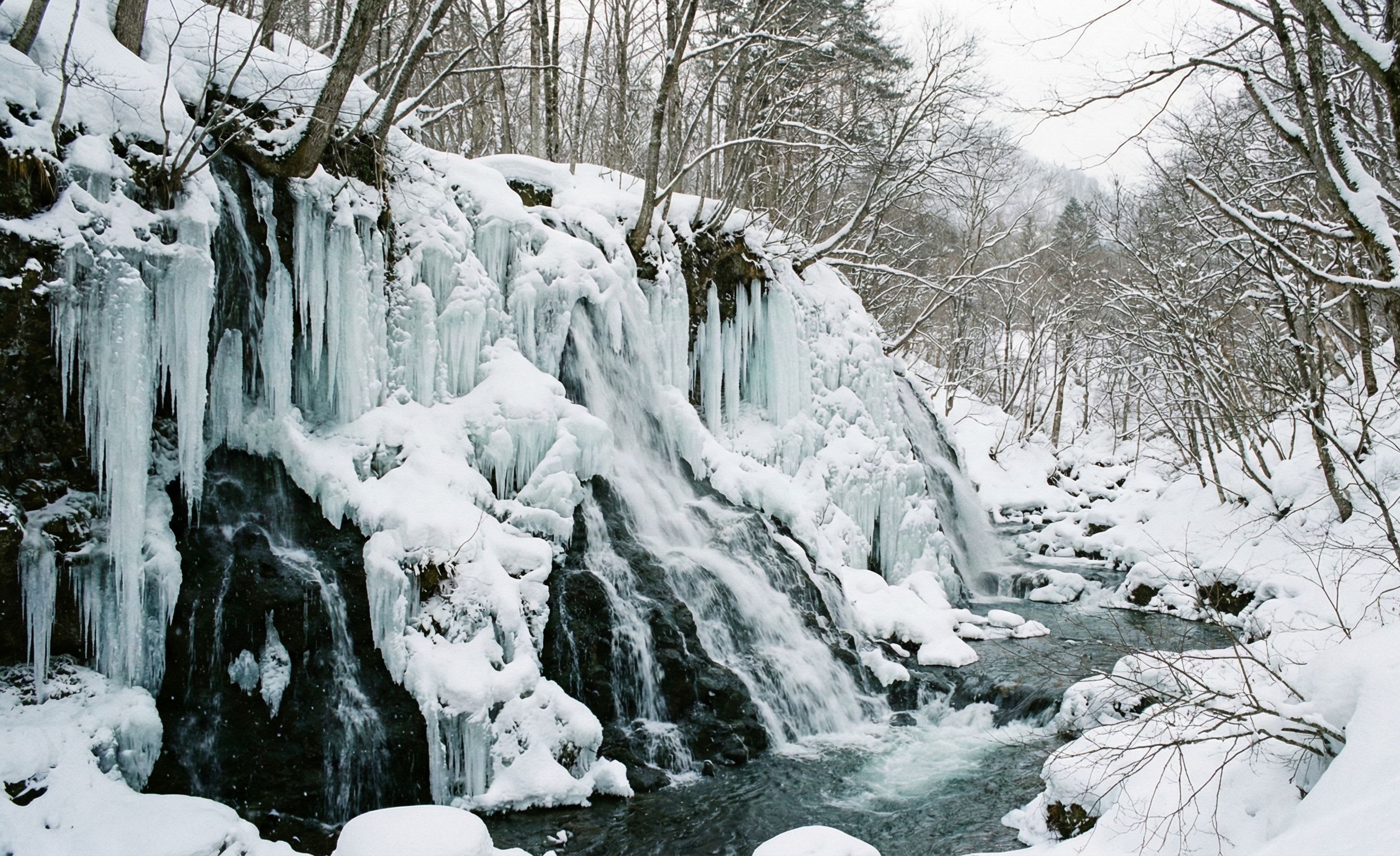 Frozen Waterfalls of Oirase Gorge: When Aomori's Wild Water Stops Mid-Fall