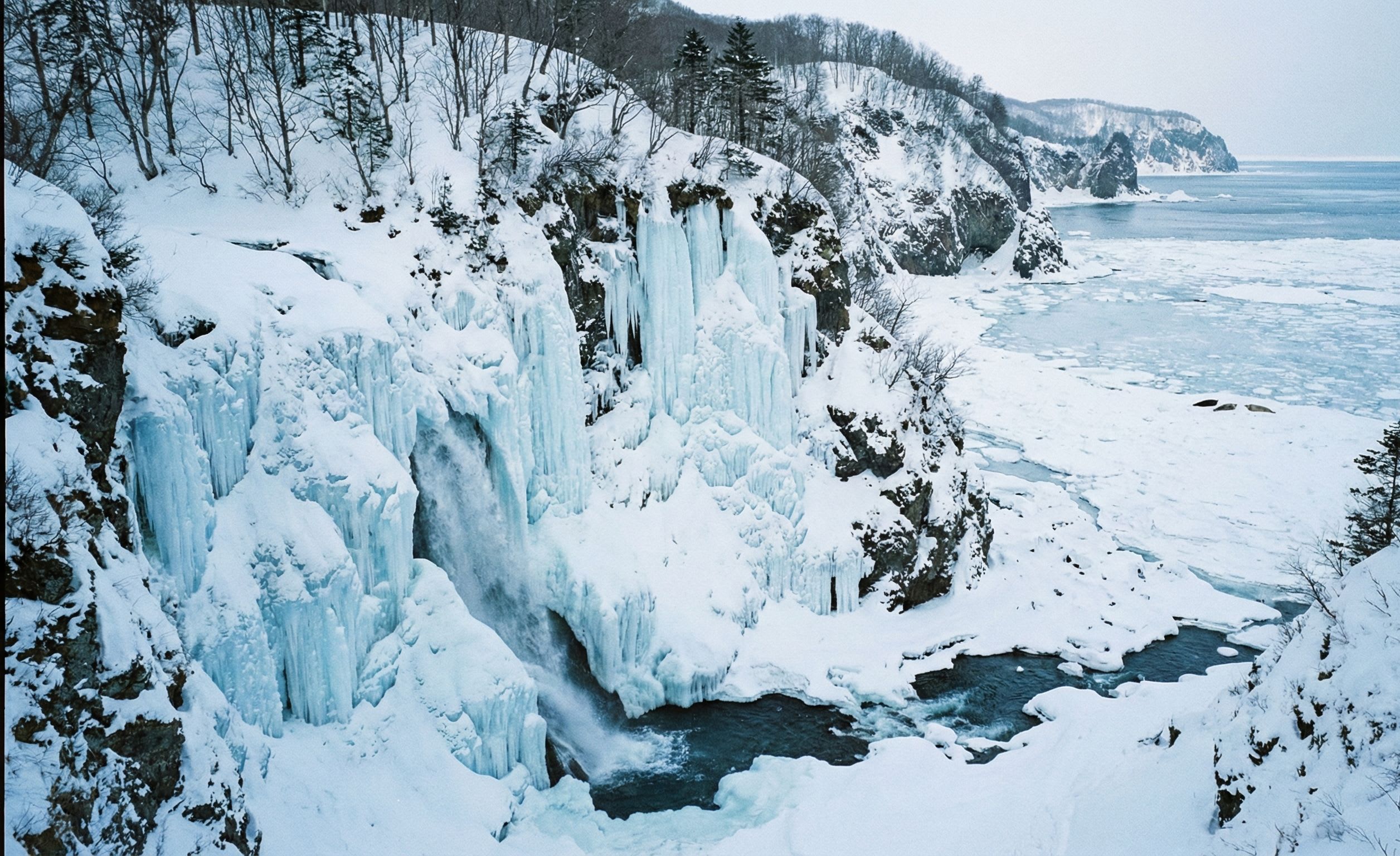 Furepe Falls Icefall: When Underground Springs Freeze Into Blue Curtains Above the Sea
