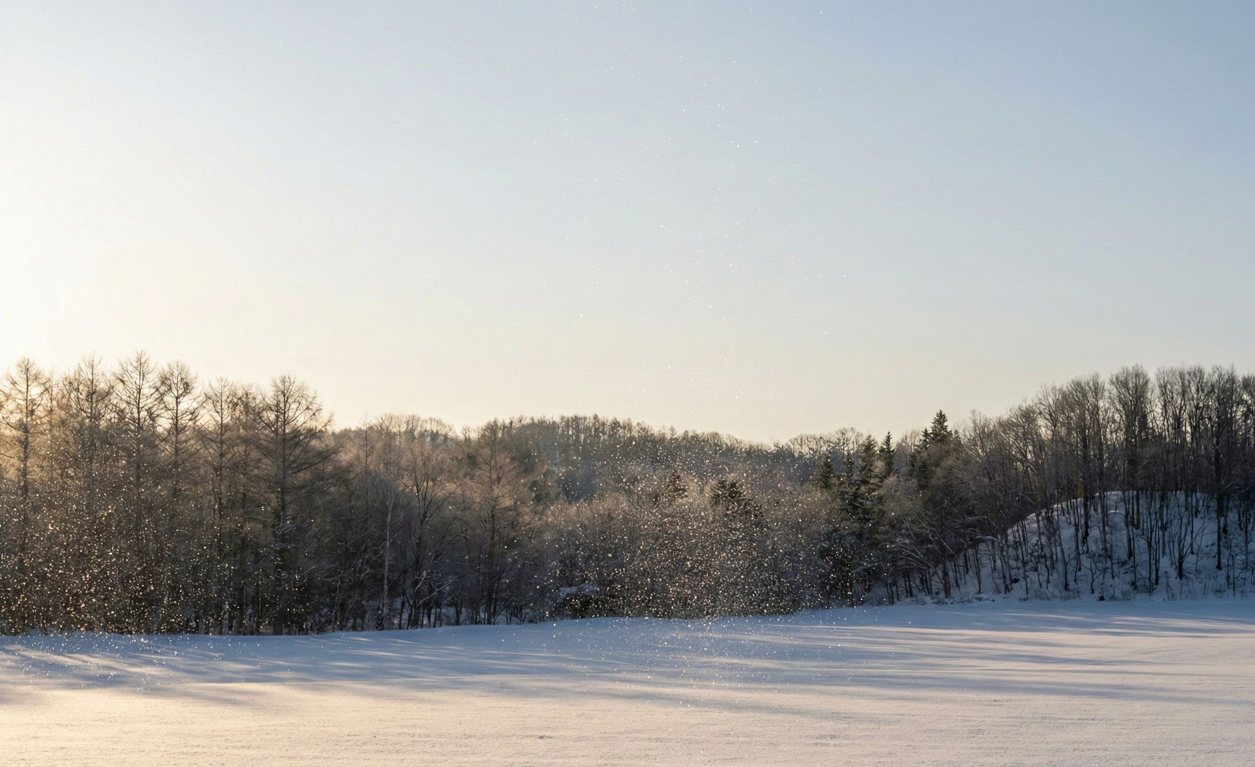 Hokkaido Diamond Dust: When Air Freezes Into a Sky Full of Glitter