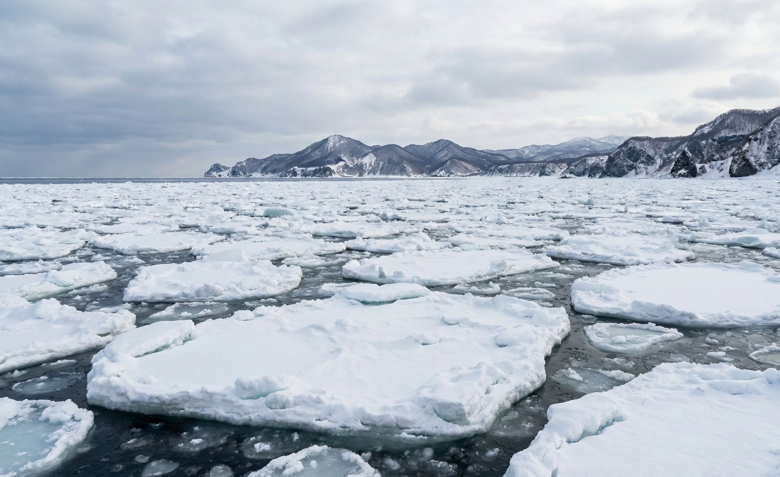 Okhotsk Drift Ice: The Southernmost Sea Ice in the Northern Hemisphere
